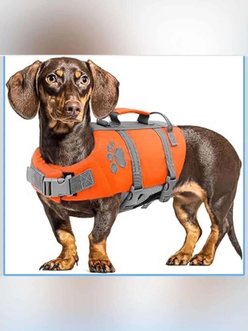 Dog Life Jacket Medium Safety Dog Life Vest for Swimming/Boating M. 2563/DB-1